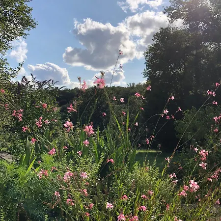 Bed & Breakfast Mabelle Reve Saint-Pierre-de-Côle