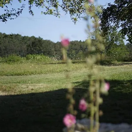 Bed & Breakfast Mabelle Reve Saint-Pierre-de-Côle
