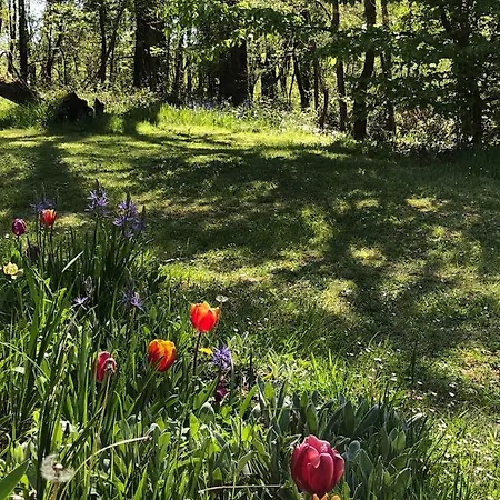 Bed & Breakfast Mabelle Reve