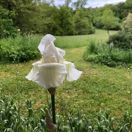 Mabelle Reve Bed & Breakfast Saint-Pierre-de-Côle