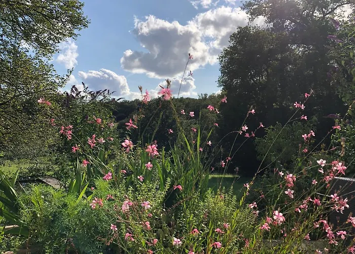 Bed and breakfast Mabelle Reve Saint-Pierre-de-Côle