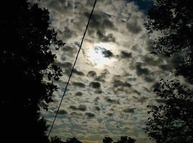 Bed and breakfast Mabelle Reve