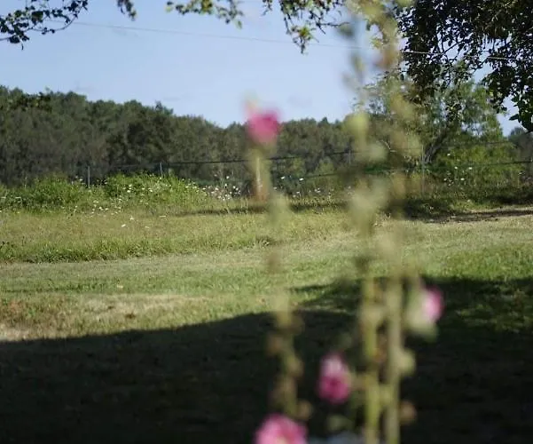 Bed and breakfast Mabelle Reve Saint-Pierre-de-Côle