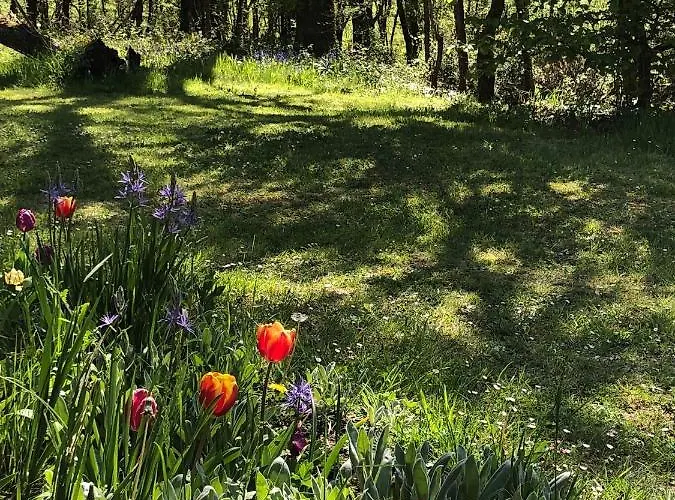 Bed and breakfast Mabelle Reve