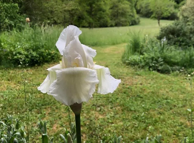 Mabelle Reve Bed and breakfast Saint-Pierre-de-Côle